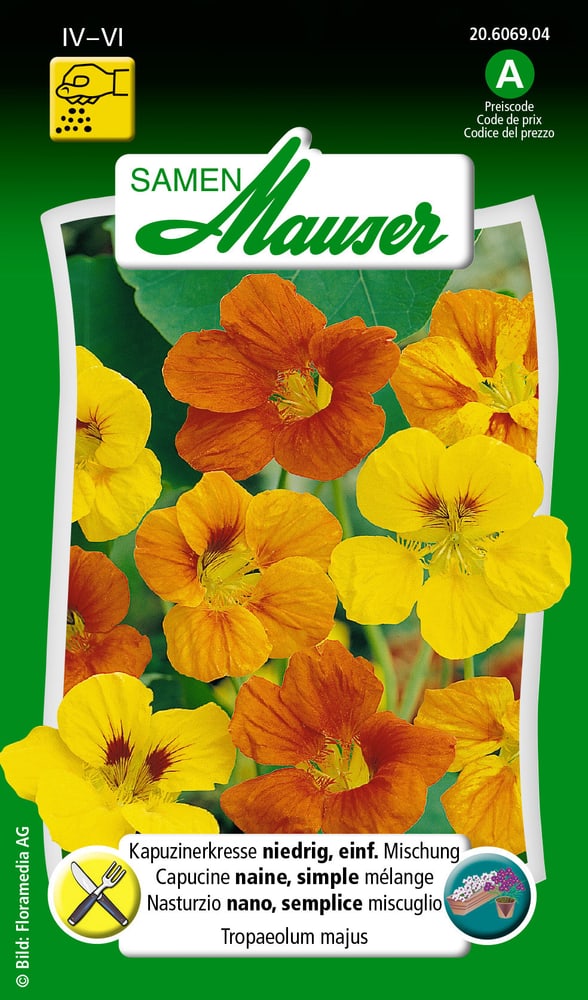 Kapuzinerkresse, niedrig, einf. Mischung Blumensamen Samen Mauser 650107805000 Inhalt 5 g (ca. 25 Pflanzen oder 3 m² ) Bild Nr. 1