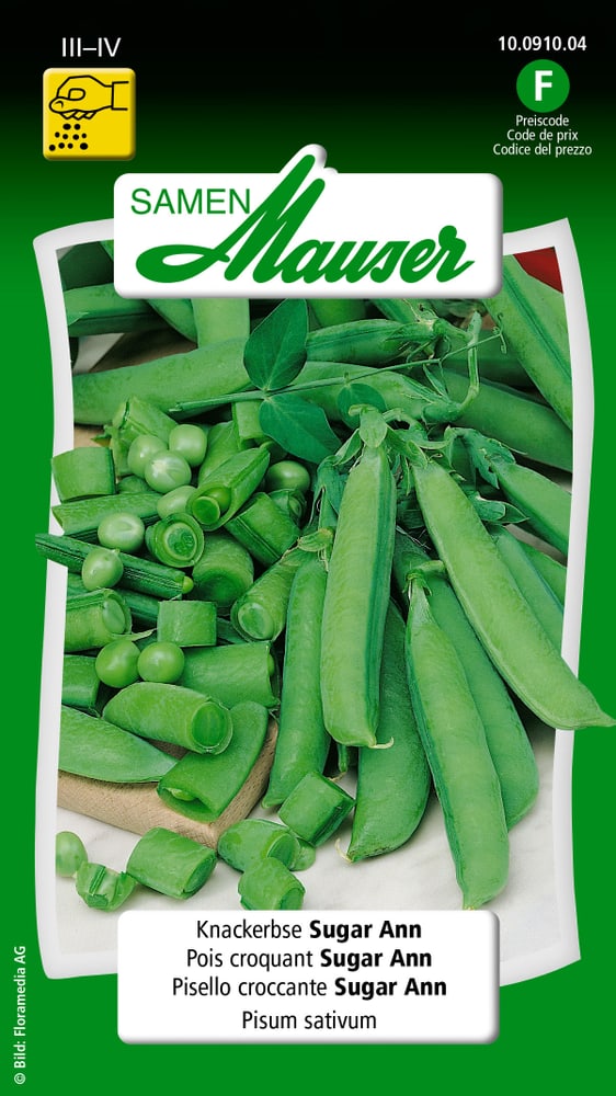 Pisello croccante Sugar Ann Sementi di verdura Samen Mauser 650110202000 Contenuto 80 g (ca. 6 - 7 m²) N. figura 1
