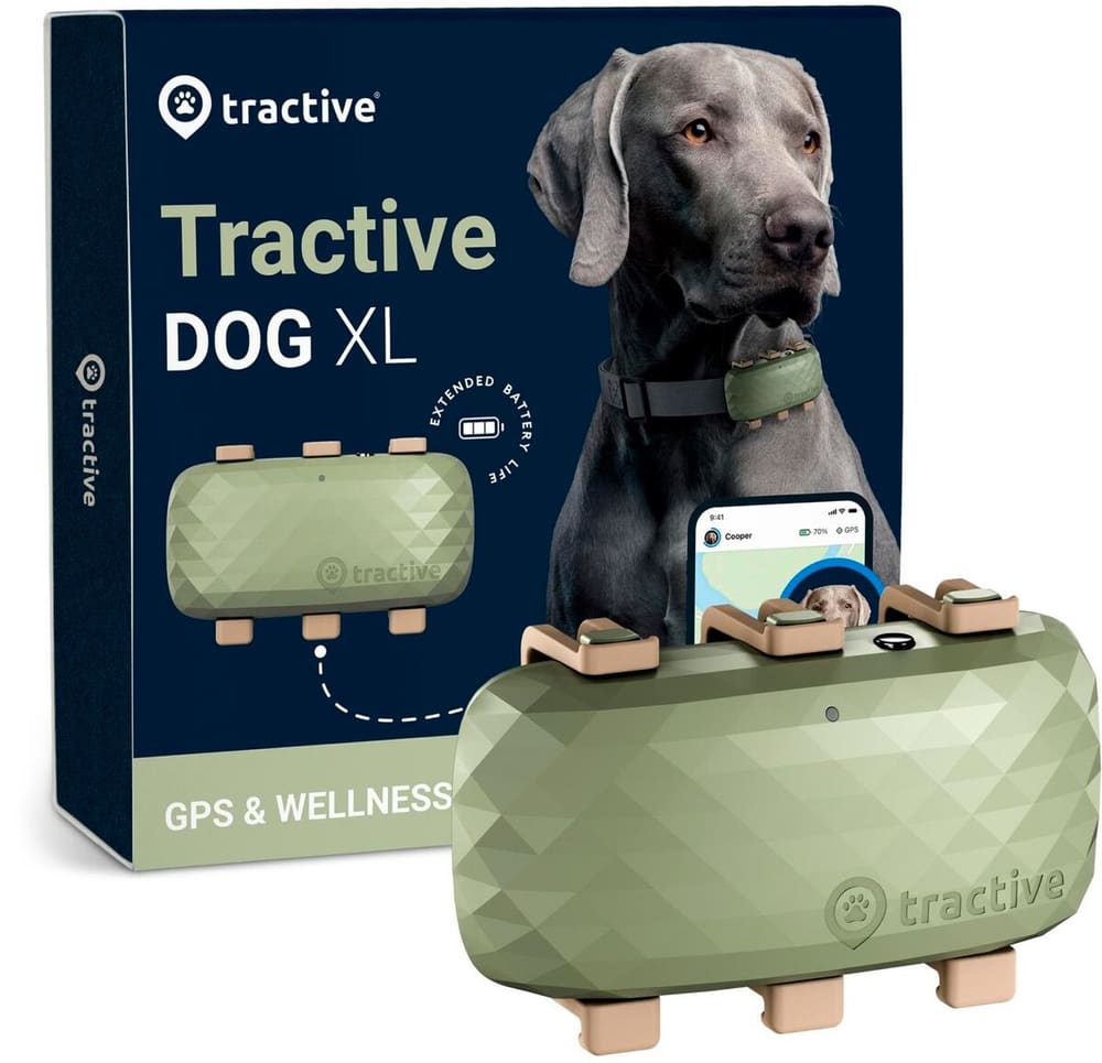 GPS-Tracker DOG XL Tracker di animali domestici Tractive 785302423744 N. figura 1
