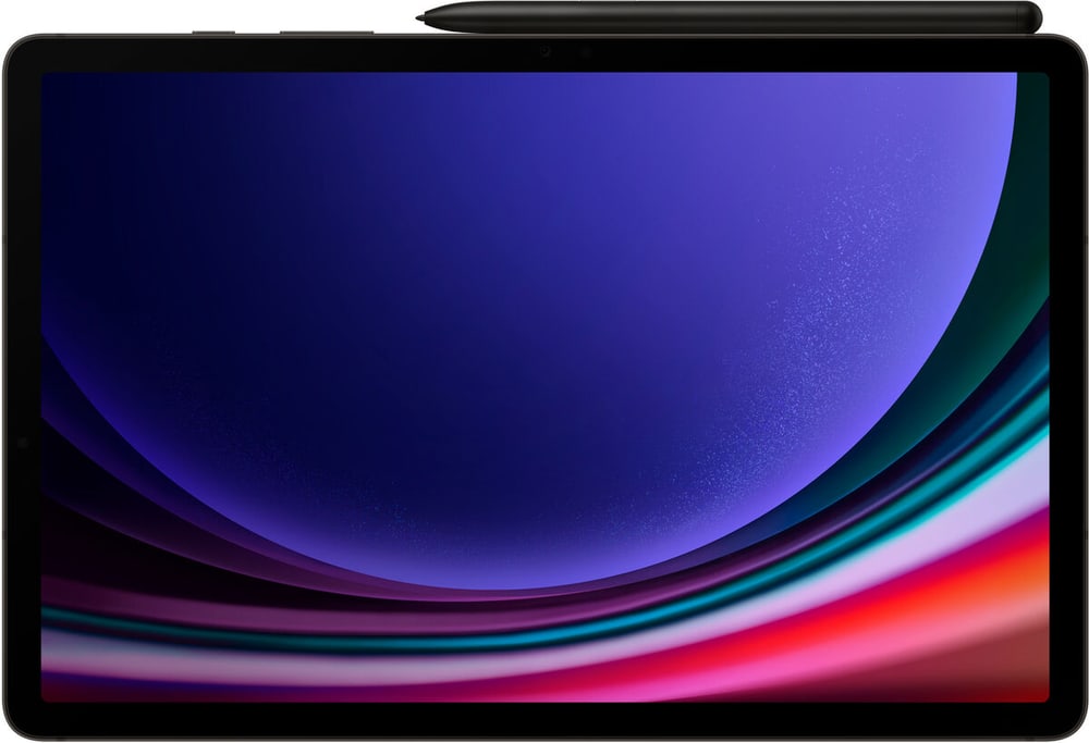 Galaxy Tab S9 WiFi 256GB - Gray Tablette Samsung 785302401464 Photo no. 1