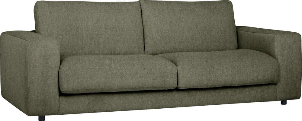 HARRISON Canapé 2 places HARRISON Canapé 2 places 405887020360 Dimensions L: 230.0 cm x P: 107.0 cm x H: 85.0 cm Couleur Vert Photo no. 1