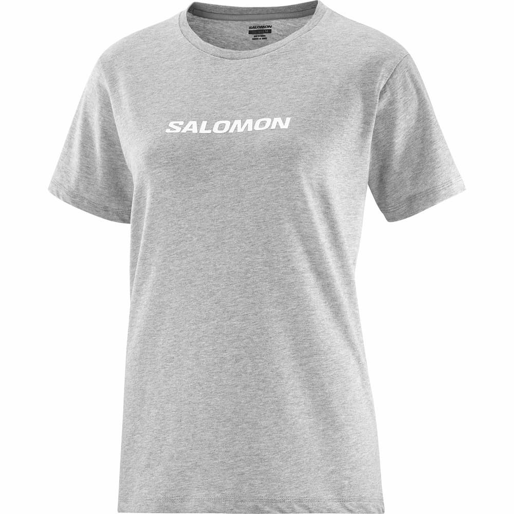Logo T-Shirt Salomon 468434000480 Grösse M Farbe grau Bild-Nr. 1