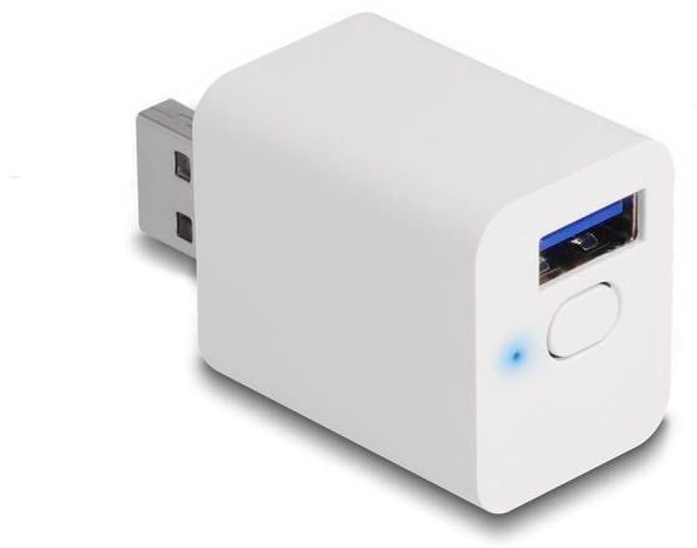 WLAN EASY-USB Smart Schalter MQTT Smart Home Controller DeLock 785300169781 Bild Nr. 1