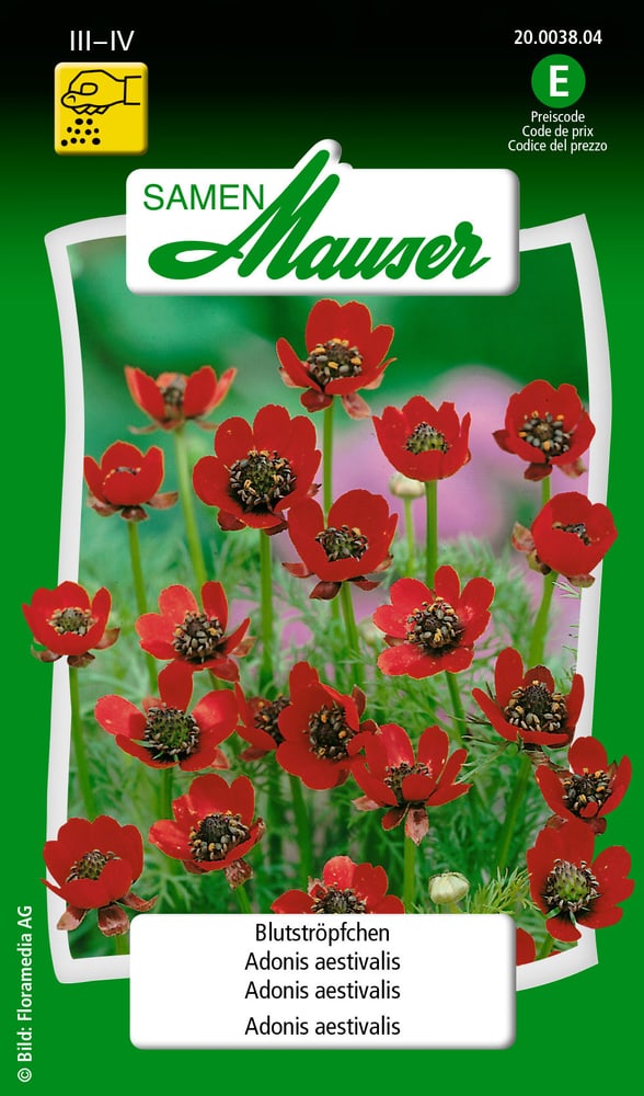 Adonis aestivalis Sementi di fiori Samen Mauser 650101701000 Contenuto 2.5 g (ca. 100 piante o 3 - 4 m²) N. figura 1