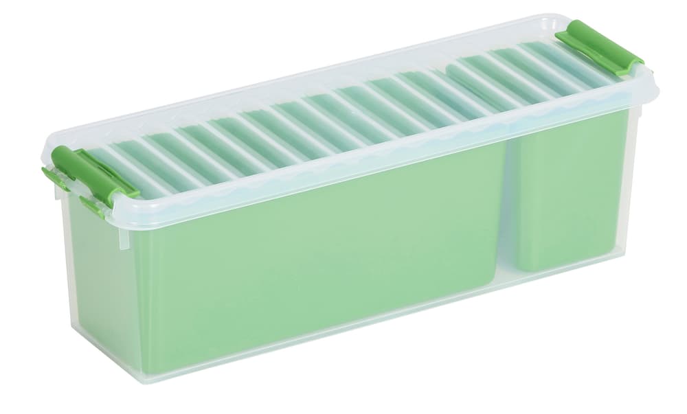 Mixed-Box, 1.3L Aufbewahrungsbox 603758600000 Grösse L: 270.0 mm x B: 84.0 mm x H: 90.0 mm Farbe Grün, Transparent Bild Nr. 1