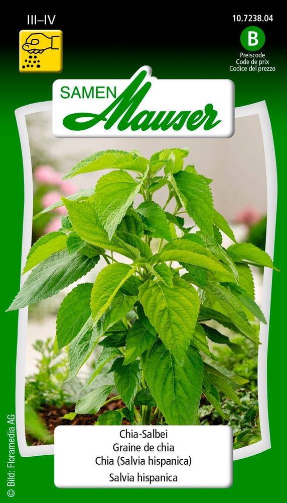 Samen Mauser Chia Salbei Gourmetsamen Chia Salbei Gourmetsamen Samen Mauser 650172600000 Bild Nr. 1