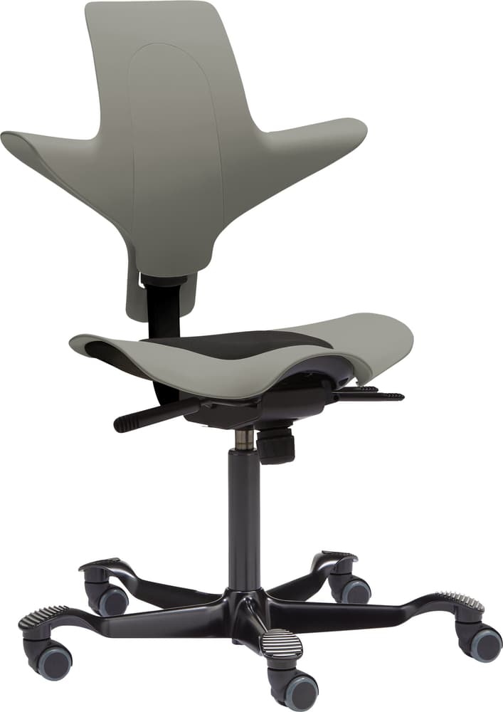 CAPISCO PULS Chaise de bureau HAG 401513000080 Dimensions L: 73.0 cm x P: 73.0 cm x H: 85.5 cm Couleur Gris Photo no. 1