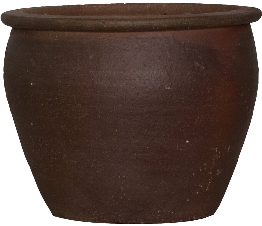 Thai-Pot Vaso per fiori Do it + Garden 659110103000 Colore Marrone scuro Taglio ø: 30.0 cm x A: 25.0 cm N. figura 1