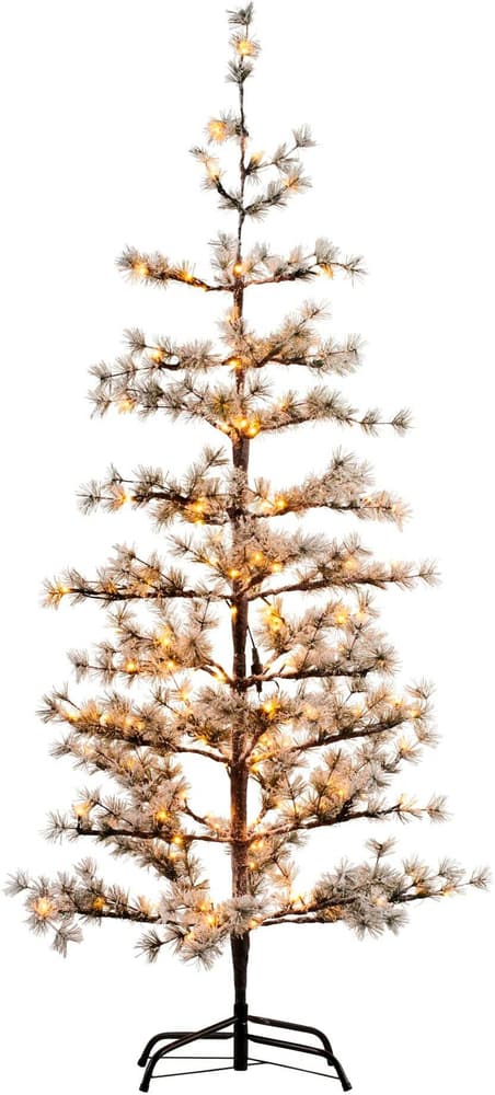 Arbre Alfi, 150 LED, 180 cm, Intérieur Arbre artificiel Sirius 785302412435 Photo no. 1