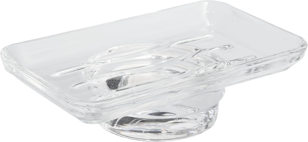 diaqua Porte-savonnette 07/14 Porte-savon Porte-savonnette 07/14 Porte-savon diaqua 675029100000 Photo no. 1
