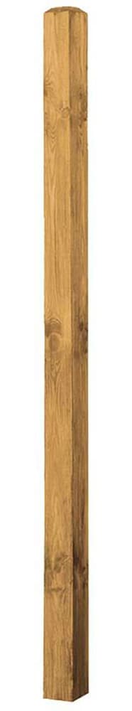 Montanti in legno di pino per parete fendivista in nocciolo Palo di legno 647186800000 N. figura 1
