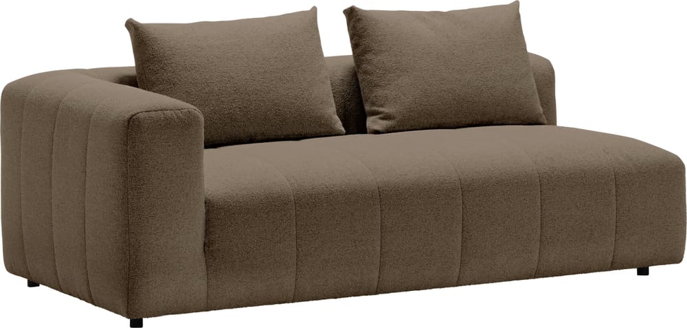 RAYAS 2.5er-Sofa 405885125288 Grösse B: 193.0 cm x T: 105.0 cm x H: 64.5 cm Farbe Taupe Bild Nr. 1