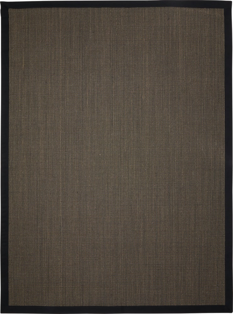 PASCUAL Teppich 412016920184 Farbe anthrazit Grösse B: 200.0 cm x T: 300.0 cm Bild Nr. 1