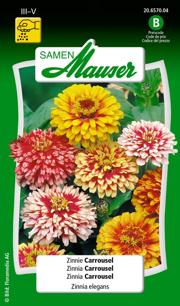 Zinnie Carrousel Blumensamen Samen Mauser 650108403000 Inhalt 1 g (ca. 50 Pflanzen oder 3 - 4 m² ) Bild Nr. 1