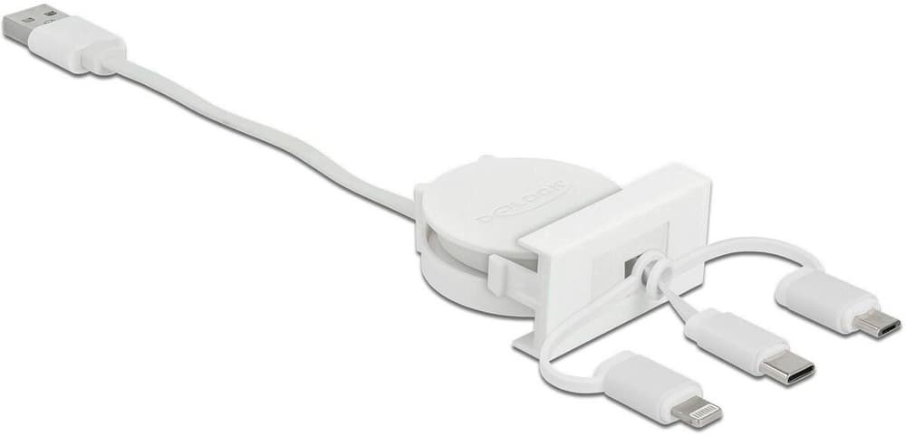Easy 45 Modul USB A - Lightning/Micro-USB B/USB C 0.5 m Câble USB DeLock 785300194917 Photo no. 1