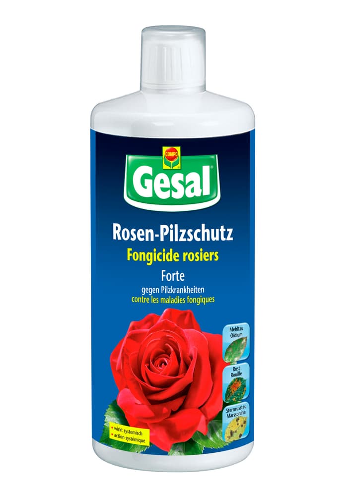 Rosen-Pilzschutz Forte, 250 ml Pilzkrankheiten Compo Gesal 658506500000 Bild Nr. 1