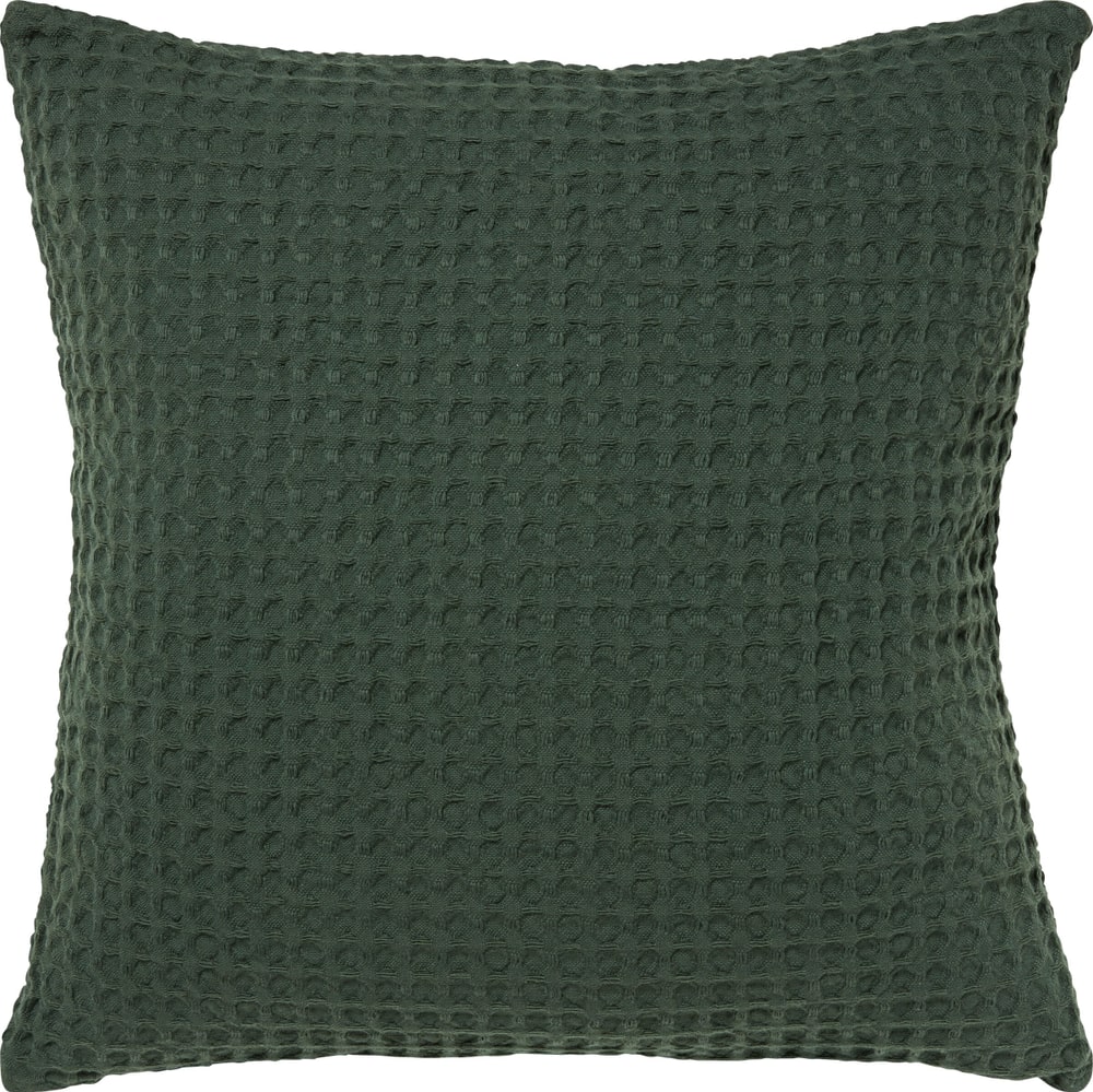BELISARIO Fodera per cuscino decorativo 450784040863 Colore verde scuro Dimensioni L: 45.0 cm x A: 45.0 cm N. figura 1
