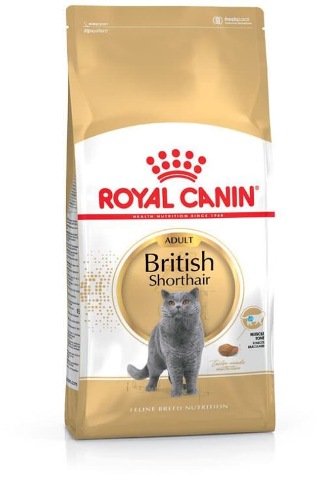 British Shorthair Adult, 0.4 kg Cibo secco Royal Canin 658731400000 N. figura 1