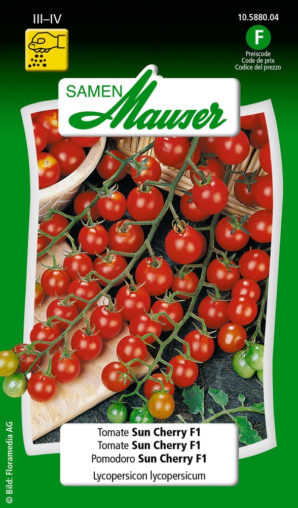 Tomate Sun Cherry F1 Semences de legumes Samen Mauser 650115706000 Contenu 30 graines (env. 10 m²) Photo no. 1