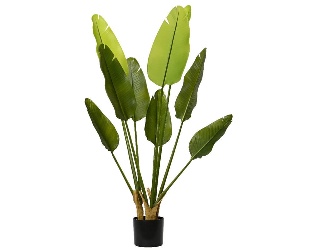 Strelitzia Plante artificiale Do it + Garden 658069900000 N. figura 1