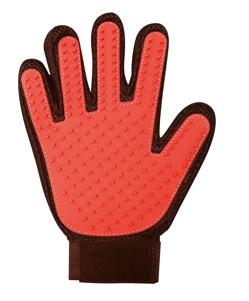 Pet Glove Spazzole Best Direct 603745700000 N. figura 1