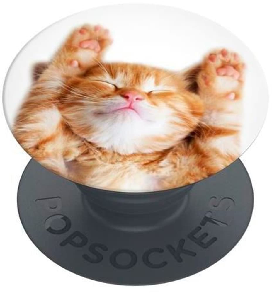 PopGrip Basic Snoozy Cat PopSocket PopSockets 798800101884 N. figura 1