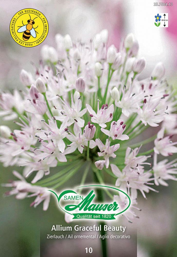 Allium, Zierlauch Graceful Beauty Blumenzwiebeln Samen Mauser 650296100000 Bild Nr. 1