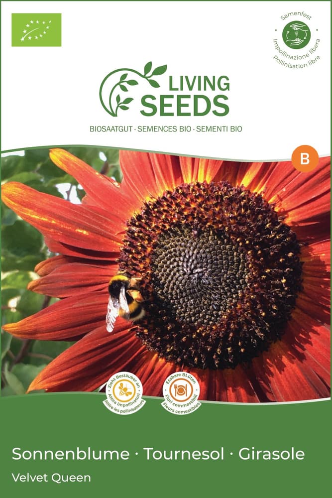 Girasole Semi di fiori Living Seeds 650273600000 N. figura 1