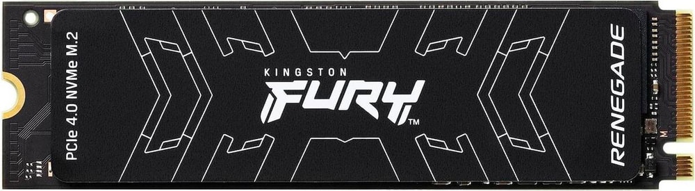 FURY Renegade M.2 2280 NVMe 1000 GB Interne SSD Kingston 785302409652 Bild Nr. 1