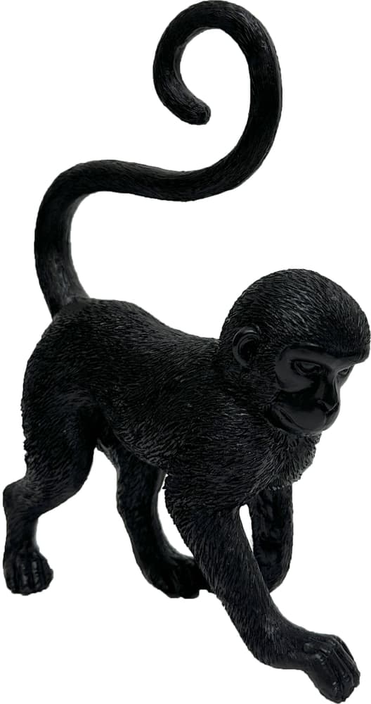 Scimmia Figura decorativa Do it + Garden 658068500000 N. figura 1
