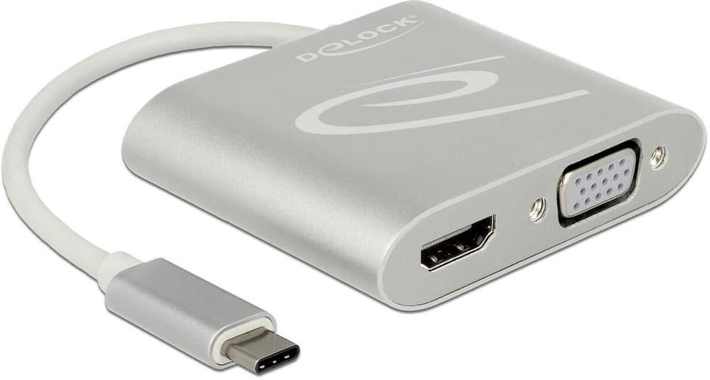 2-Port Signalsplitter USB-C - 1xHDMI & 1xVGA HDMI Adapter DeLock 785300192472 Bild Nr. 1