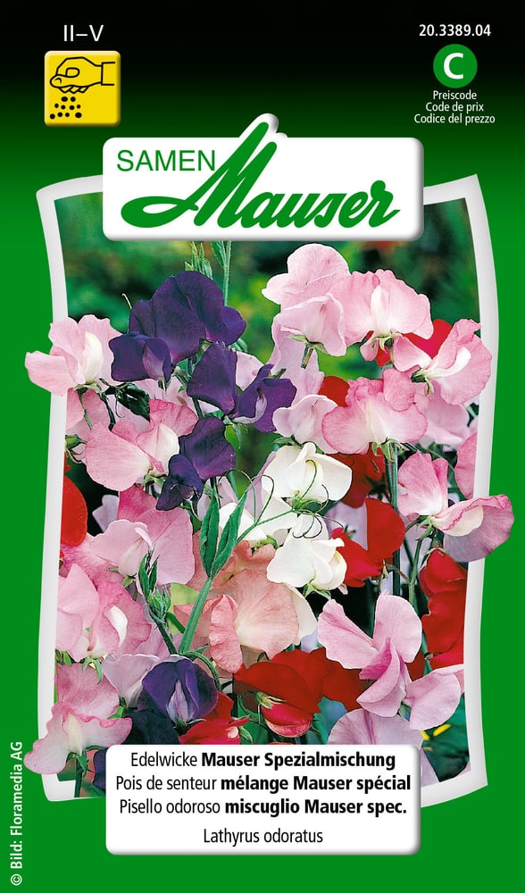Pisello odoroso miscuglio Mauser spec. Sementi di fiori Samen Mauser 650104601000 Contenuto 3 g (ca. 40 piante o 4 - 5 m²) N. figura 1