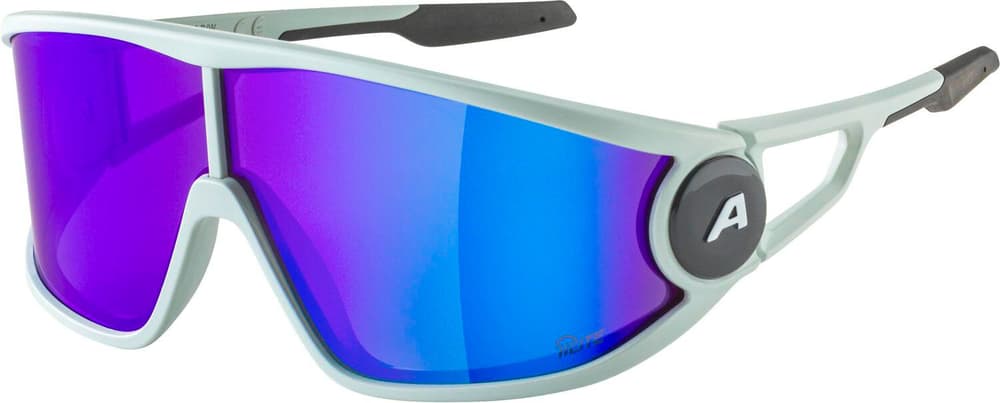 LEGEND Q-LITE Sportbrille Alpina 468822400012 Grösse Einheitsgrösse Farbe kitt Bild-Nr. 1