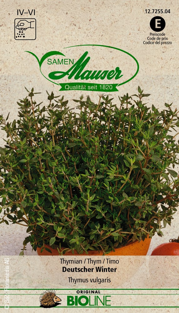 Thym d'hiver allemand BIO Semences d’herbes arom. Samen Mauser 650282900000 Photo no. 1