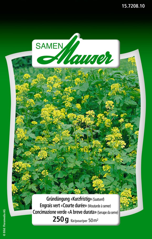 Engrais vert courte durée 250g Semences de fleurs Samen Mauser 650117400000 Photo no. 1
