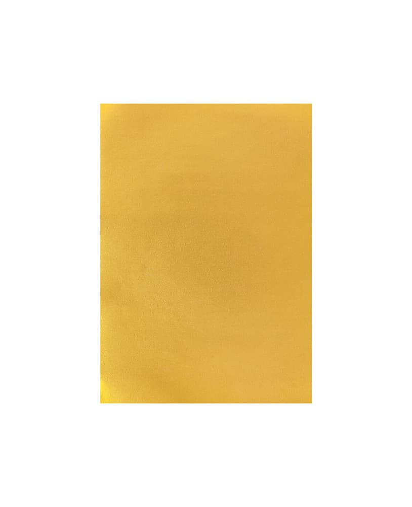 Carta Per Foto A4, Oro Cartone fotografico 666540900140 Colore Oro Dimensioni L: 21.0 cm x P: 0.05 cm x A: 29.7 cm N. figura 1
