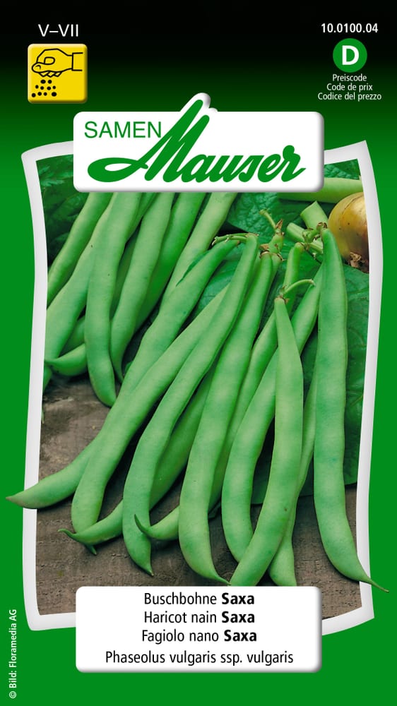 Haricot nain Saxa Semences de legumes Samen Mauser 650109305000 Contenu 80 g (env. 8 m²) Photo no. 1
