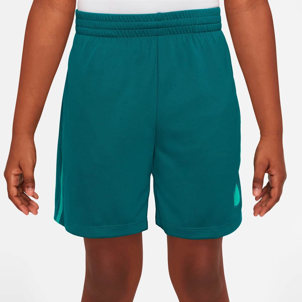 Dri-FIT Graphic Training Shorts Multi Pantaloncini Nike 469335615265 Taglie 152 Colore petrolio N. figura 1