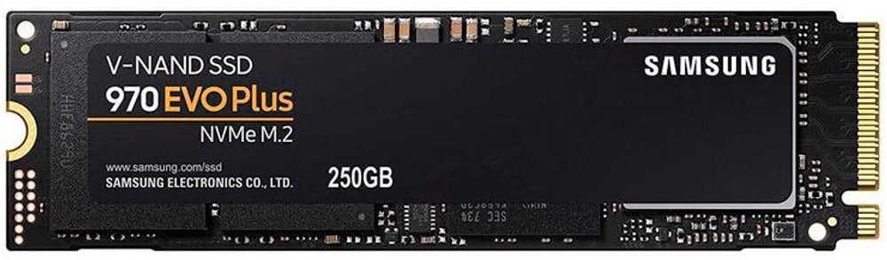 SSD 970 EVO Plus NVMe M.2 2280 250 GB Disque dur SSD interne Samsung 785302423362 Photo no. 1