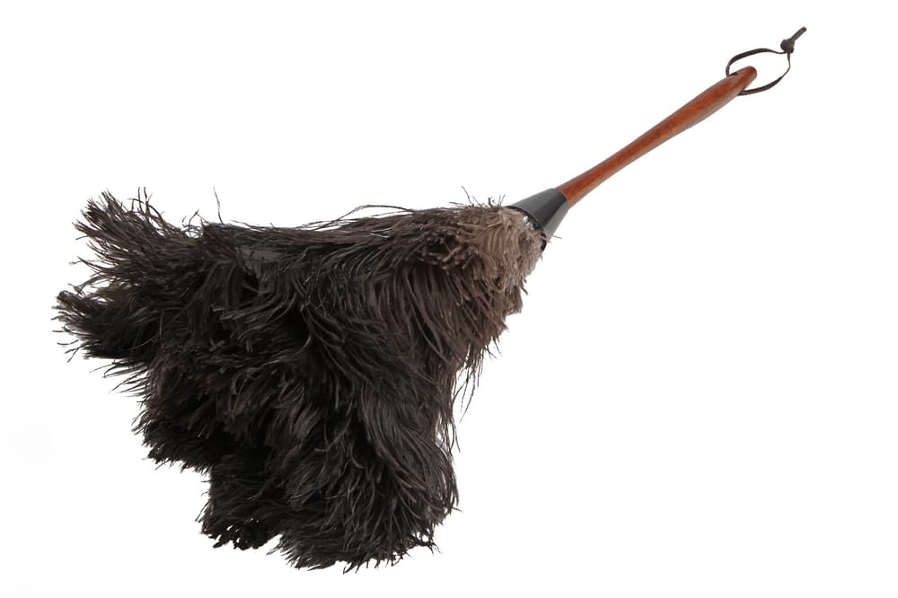 Ebnat Bürsten Plumeau en plumes d''autruche Plumeau en plumes d''autruche Ebnat Bürsten 602774600000 Photo no. 1