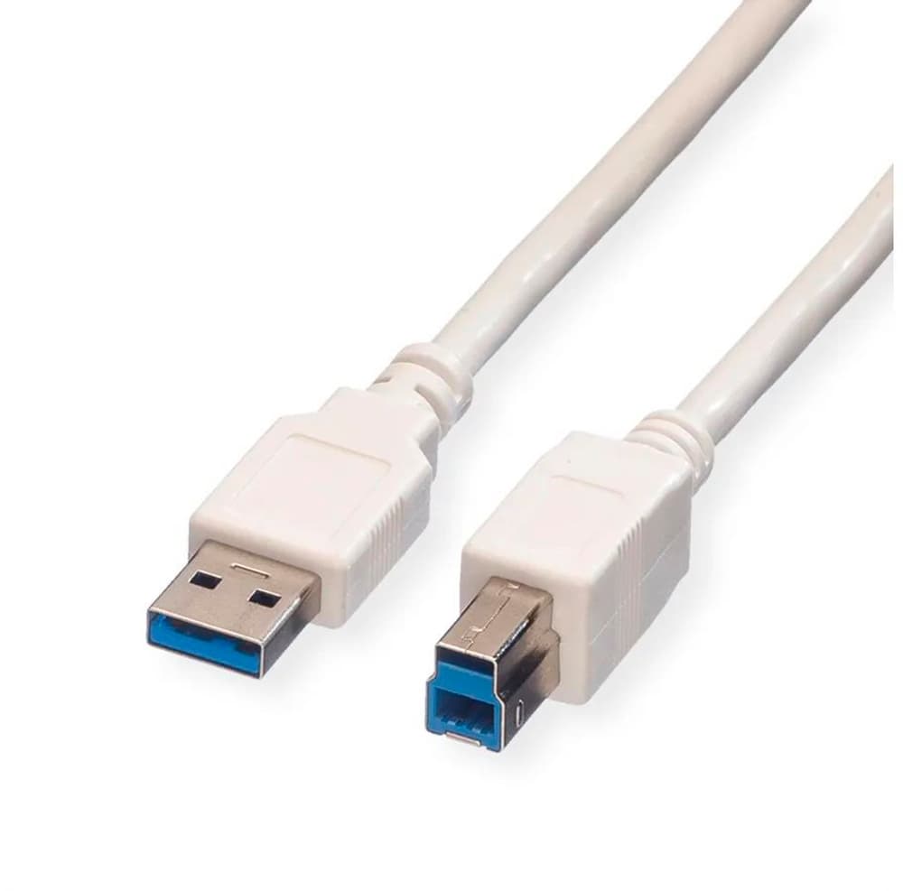 VALUE USB 3.2 Typ A-B, white 1.8m Câble USB Value 798349000000 Photo no. 1