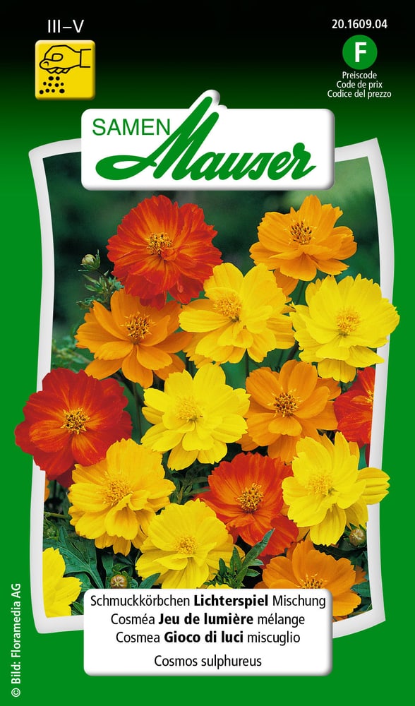 Schmuckkörbchen Lichterspiel Mischung Blumensamen Samen Mauser 650102802000 Inhalt 1 g (ca. 50 Pflanzen oder 5 m²) Bild Nr. 1