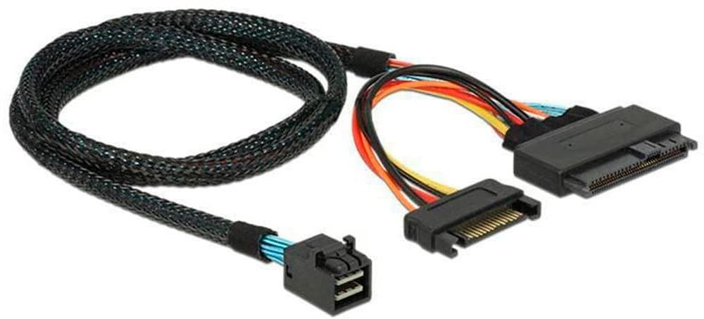 Câble PCI-E U.2 SFF-8643 - SFF-8639 75 cm Câble de données interne DeLock 785302406138 Photo no. 1