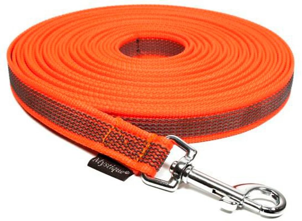 Nylon orange 10 m / 20 mm / avec boucle Laisse de remorque MYSTIQUE 669700103381 Photo no. 1