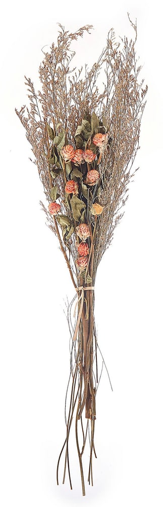 Mazzo fiori secchi arancione e verde 65 cm AZUEL Fiori secchi Beliani 615185600000 N. figura 1