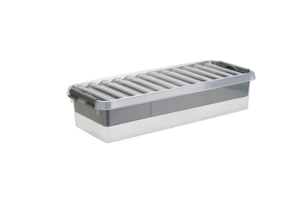 Multibox 6.5L, mit Einlage Aufbewahrungsbox mit Einsatz 603759700000 Grösse L: 485.0 mm x B: 190.0 mm x H: 105.0 mm Farbe Grau, Transparent Bild Nr. 1