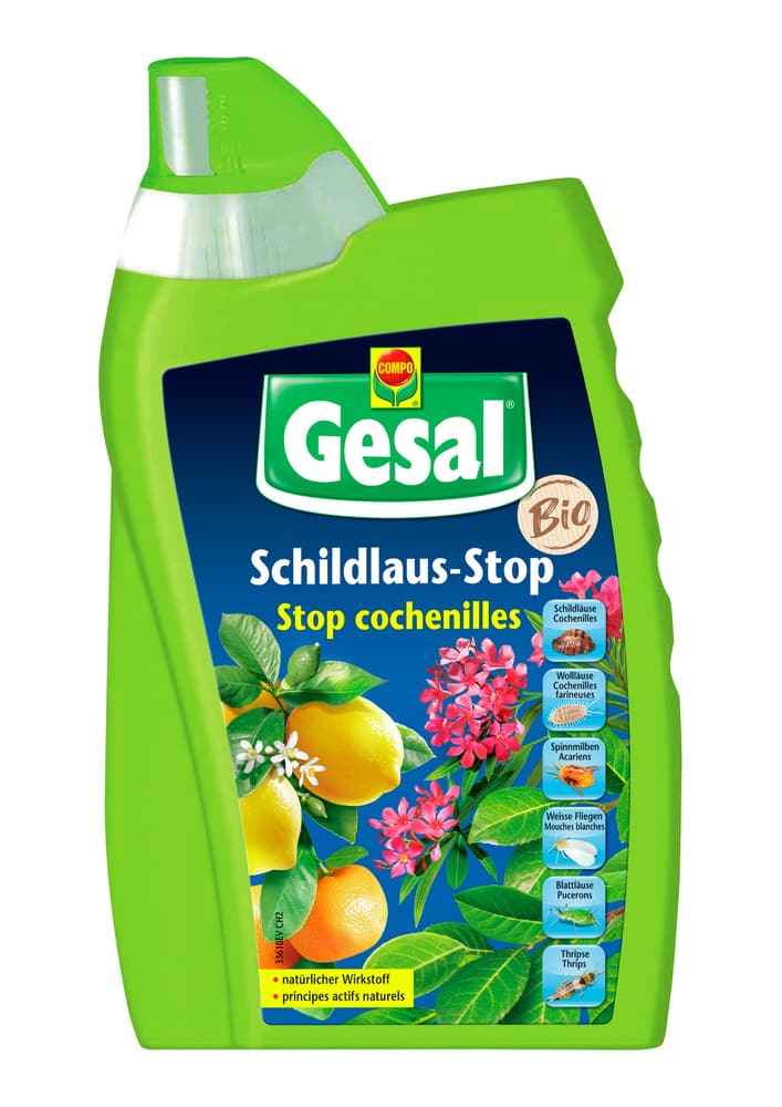Schildlaus-Stop, 500 ml Insektizid Compo Gesal 658513600000 Bild Nr. 1