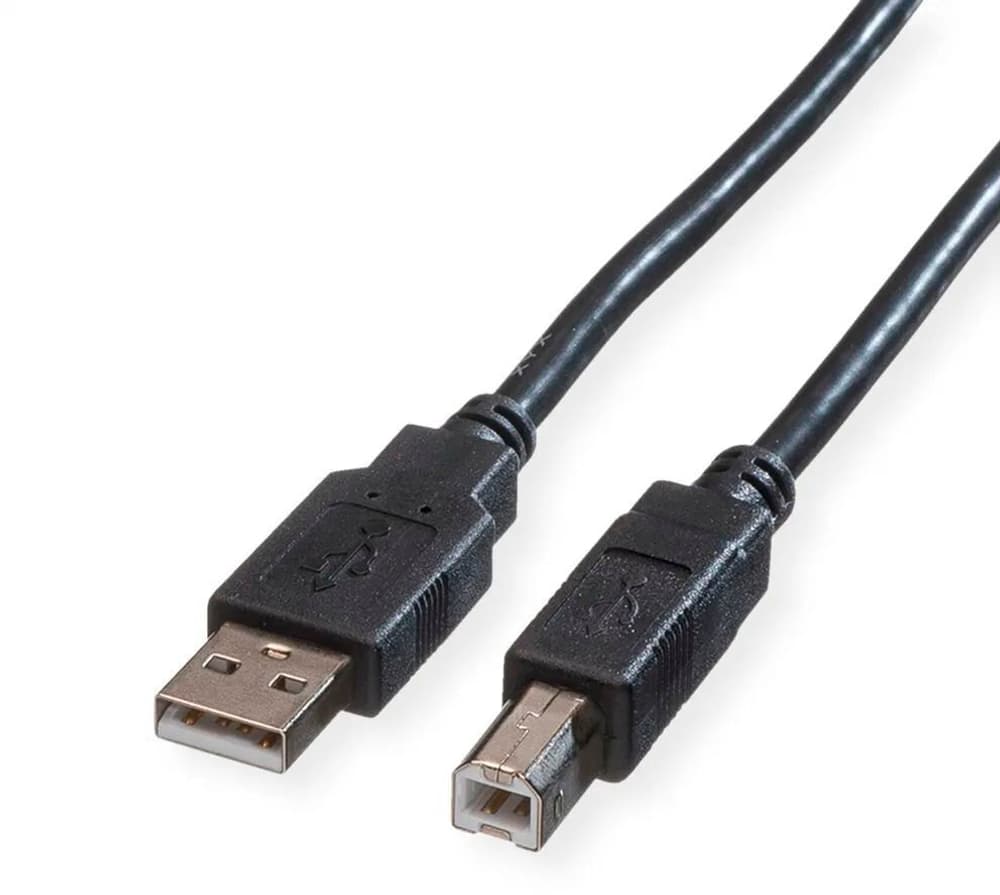 USB Kabel 2.0, A-B (3.0 m) USB Kabel roline 785300182222 Bild Nr. 1