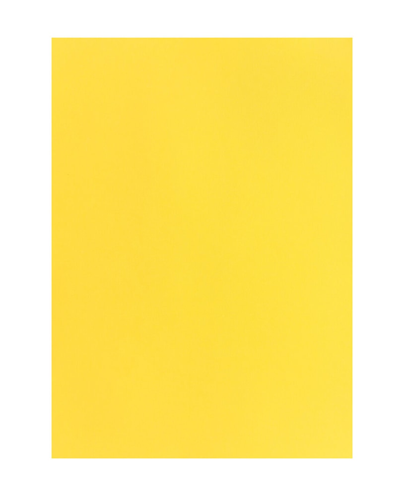 Carta Per Foto 50X70, Limone Cartone fotografico 666541000020 Colore Giallo Limon Dimensioni L: 50.0 cm x P: 0.05 cm x A: 70.0 cm N. figura 1