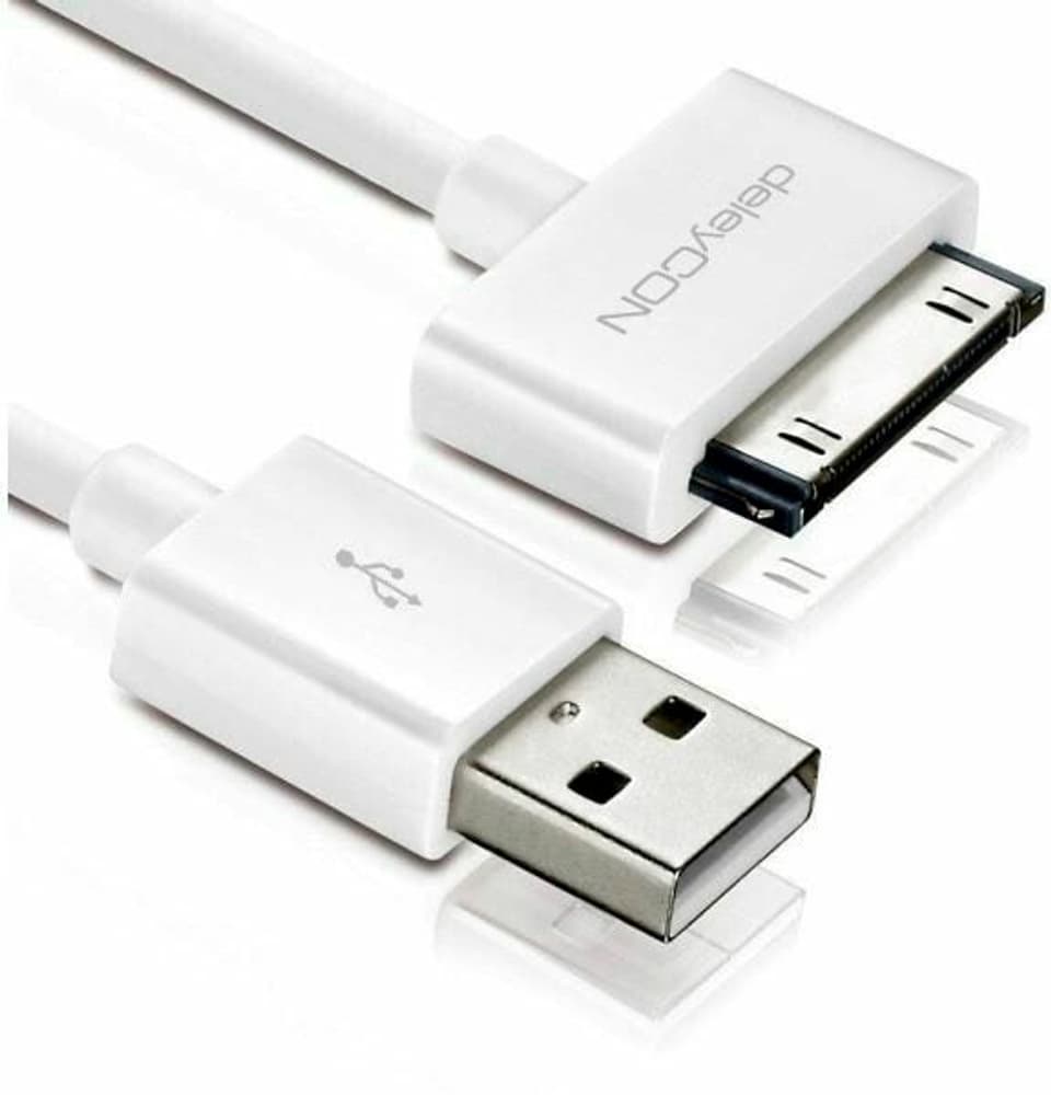 Cavo USB 2.0 USB A - Apple Dock 30 pin 1 m Cavo USB deleyCON 785302405122 N. figura 1